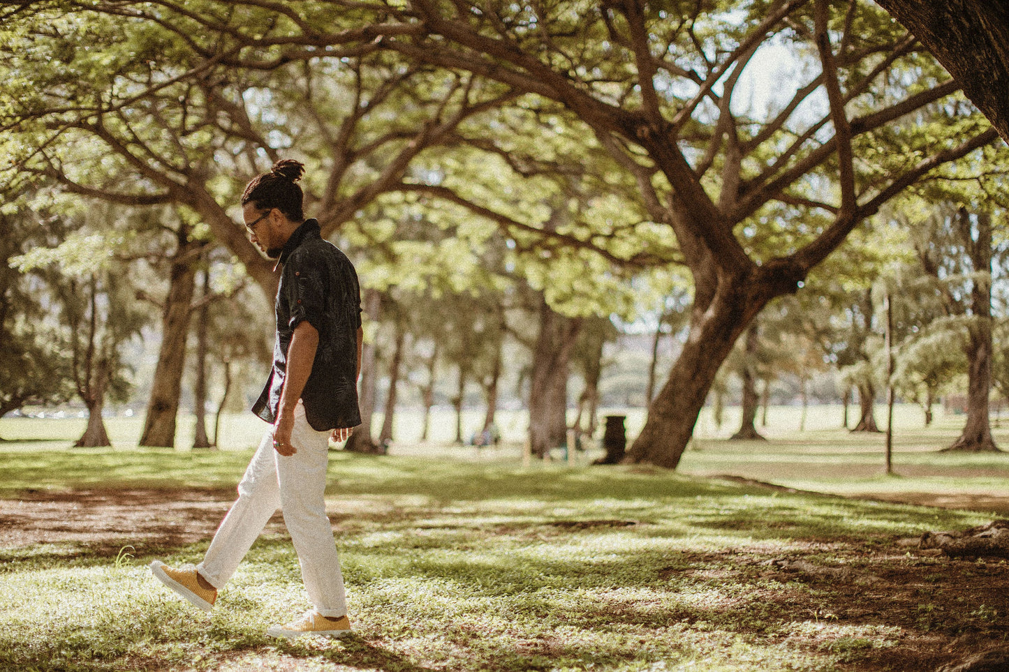 ラウンドカラーロールアップスリーブシャツ／パームリーフプリント